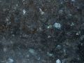 Labrador Granite Closeup