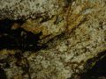 Supreme Gold Granite Closeup
